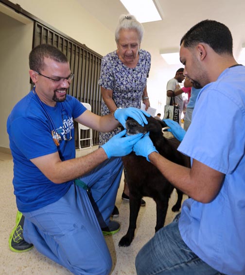 Petsmart san patricio store banfield