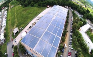 In October 2014, DSS installed an 892-kilowatt photovoltaic system on the rooftop of Droguería Betances Inc., a distribution warehouse in Caguas.