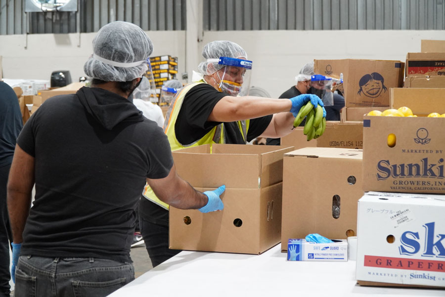 Caribbean Produce Exchange lands ‘Farmers to Families Food Box Program