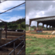 Before-and-after images show a reinforced dairy barn in Morovis, Puerto Rico, rebuilt through the Natural Resources Conservation Service to meet higher wind standards after Hurricane María. (File photo)