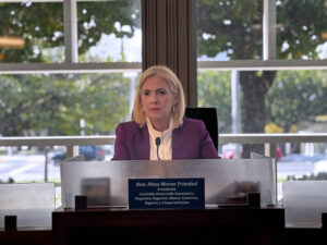Sen. Nitza Morán-Trinidad, who chairs the Senate Committee on Economic Development, Small Business, Banking, Commerce, Insurance and Cooperativism, held the hearing on April 9.
