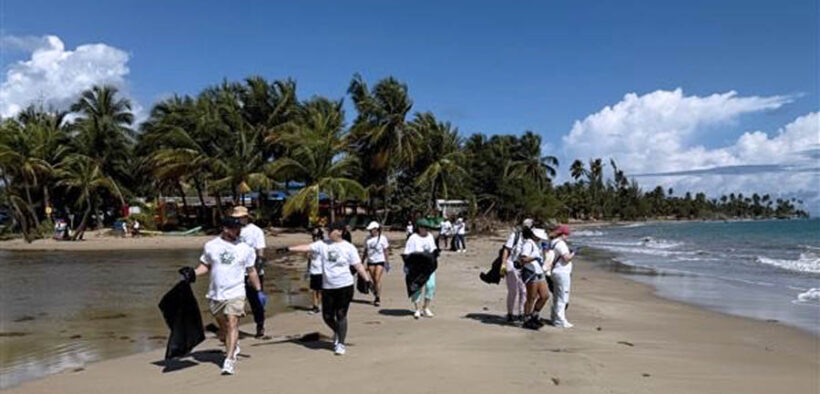 About 20 GM Sectec employees took part in the cleanup near the Herrera Bridge between Loíza and Río Grande.