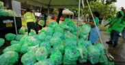 Over the years, Garnier Green Fest has developed into a recurring event in Puerto Rico that combines live music, community participation and recycling initiatives.