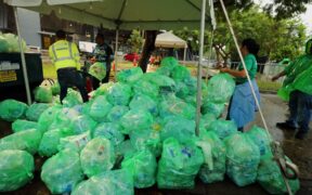 Over the years, Garnier Green Fest has developed into a recurring event in Puerto Rico that combines live music, community participation and recycling initiatives.