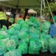 Over the years, Garnier Green Fest has developed into a recurring event in Puerto Rico that combines live music, community participation and recycling initiatives.