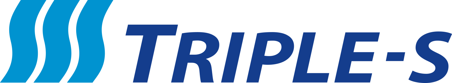 Triple-S Logo