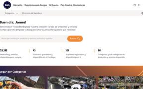 Mercadito is designed to streamline how Puerto Rico government agencies purchase goods and services through a centralized digital platform, officials said. (Screen capture)