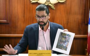 Rep. Gabriel Rodríguez-Aguiló, chairman of the House Health Committee, during a hearing on mislabeled cannabis products.
