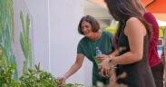 From left, Idis Ortiz-López, general manager of Starbucks in Puerto Rico; Olga Fernández, director of strategic alliances at Vimenti; and Kate Cheung, marketing manager for Starbucks Puerto Rico, during The Starbucks Foundation’s visit to the Vimenti II community garden.