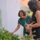 From left, Idis Ortiz-López, general manager of Starbucks in Puerto Rico; Olga Fernández, director of strategic alliances at Vimenti; and Kate Cheung, marketing manager for Starbucks Puerto Rico, during The Starbucks Foundation’s visit to the Vimenti II community garden.