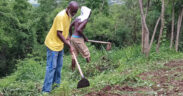 The First Caribbean Agricultural Gathering was supported by international groups such as the Urgent Action Fund for Latin America and the Caribbean, Virgin Islands Good Food, and Grassroots International, as well as local groups including Colectivo El Ancón, Revista Étnica and HASER Inc.