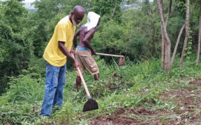 The First Caribbean Agricultural Gathering was supported by international groups such as the Urgent Action Fund for Latin America and the Caribbean, Virgin Islands Good Food, and Grassroots International, as well as local groups including Colectivo El Ancón, Revista Étnica and HASER Inc.
