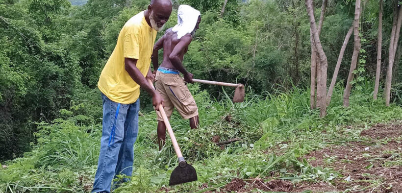 The First Caribbean Agricultural Gathering was supported by international groups such as the Urgent Action Fund for Latin America and the Caribbean, Virgin Islands Good Food, and Grassroots International, as well as local groups including Colectivo El Ancón, Revista Étnica and HASER Inc.