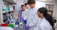 Puerto Rico is one of seven regions selected to host the NIIMBL eXperience program in summer 2025, which will engage 100 STEM students in the U.S.