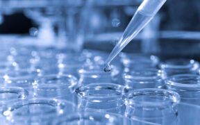 Headlands Research adds Puerto Rico to its network to offer sponsors access to more diverse clinical trial populations. (Credit: Alexander Raths | Dreamstime.com)