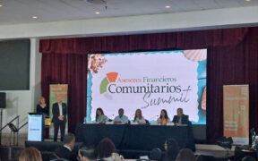 The Asesores Financieros Universitarios program pairs university students and volunteer mentors with nonprofit organizations that need accounting and operational support.