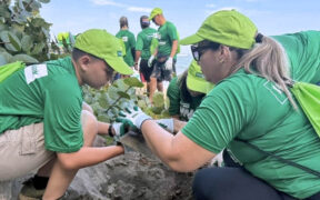FirstBank volunteers plant native trees along Puerto Rico’s northern coast as part of the Rescate Costero (Coastal Rescue) program, which aims to combat coastal erosion and reduce carbon emissions.