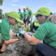 FirstBank volunteers plant native trees along Puerto Rico’s northern coast as part of the Rescate Costero (Coastal Rescue) program, which aims to combat coastal erosion and reduce carbon emissions.