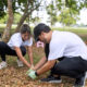 Employees worked with Caras con Causa in Cataño and at Hacienda La Esperanza, a Para la Naturaleza site in Manatí.