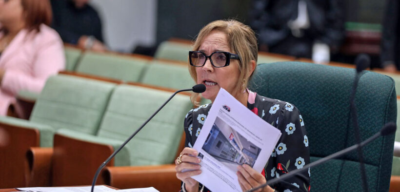 Zoimé Álvarez-Rubio, president of the Puerto Rico Bankers Association
