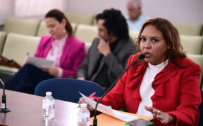 United Retailers Association (CUD) legal representative Agnes Martínez testifies during a House Consumer Affairs Committee hearing on a bill that would ban minimum purchase requirements for card payments in Puerto Rico.