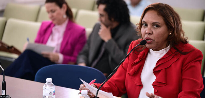 United Retailers Association (CUD) legal representative Agnes Martínez testifies during a House Consumer Affairs Committee hearing on a bill that would ban minimum purchase requirements for card payments in Puerto Rico.