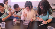 Arecibo C3 seeks to develop science, technology, engineering, arts and mathematics (STEAM) talent from an early age at the former Arecibo Observatory site in Puerto Rico.