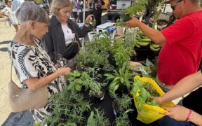 The “Noches de Barrio” program builds on the success of El Mercado de Miramar’s daytime events and is extending those activities into the evening with an artistic focus.