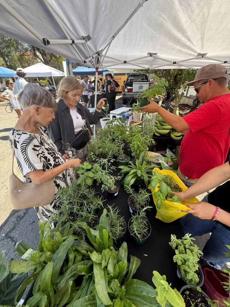 Miramar debuts ‘Noches de Barrio’ cultural evenings