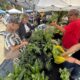 The “Noches de Barrio” program builds on the success of El Mercado de Miramar’s daytime events and is extending those activities into the evening with an artistic focus.