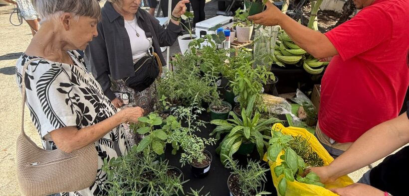 The “Noches de Barrio” program builds on the success of El Mercado de Miramar’s daytime events and is extending those activities into the evening with an artistic focus.