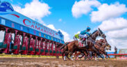 Hipódromo Camarero in Canóvanas, where the Puerto Rico Horse Owners Association filed a federal lawsuit alleging exclusion from wagering revenues and anticompetitive practices by track officials and the Confederación Hípica de Puerto Rico. (Credit: Discover Puerto Rico)