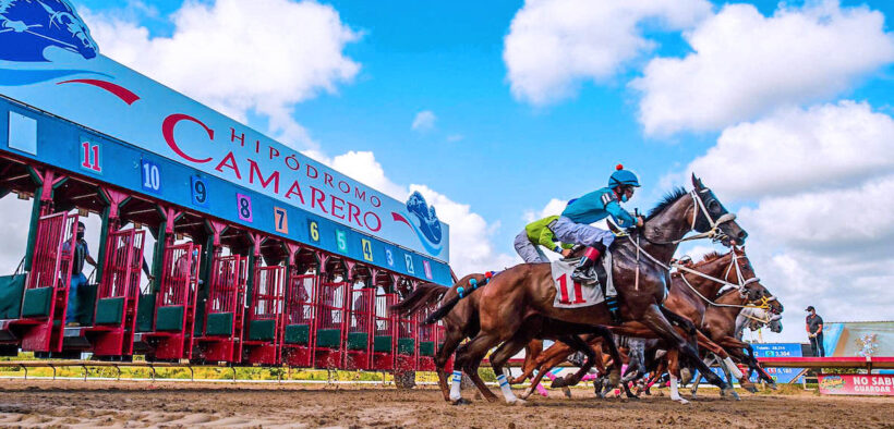 Hipódromo Camarero in Canóvanas, where the Puerto Rico Horse Owners Association filed a federal lawsuit alleging exclusion from wagering revenues and anticompetitive practices by track officials and the Confederación Hípica de Puerto Rico. (Credit: Discover Puerto Rico)