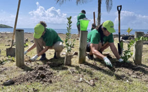 FirstBank estimates that reforestation carried out through its two-year Rescate Costero initiative will reduce up to 422 metric tons of carbon dioxide annually.