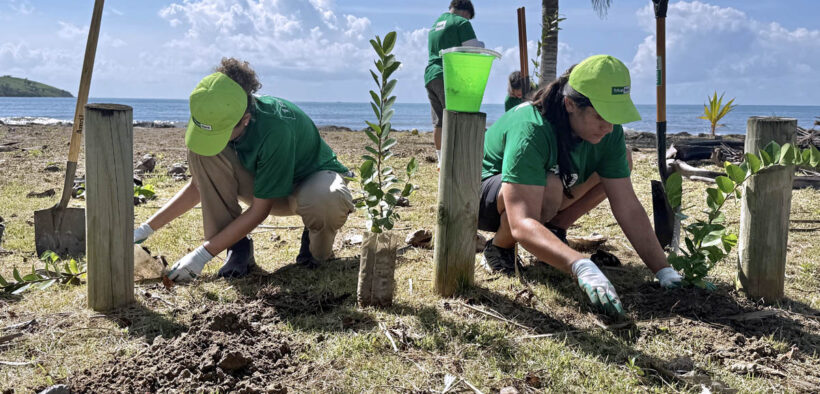 FirstBank estimates that reforestation carried out through its two-year Rescate Costero initiative will reduce up to 422 metric tons of carbon dioxide annually.