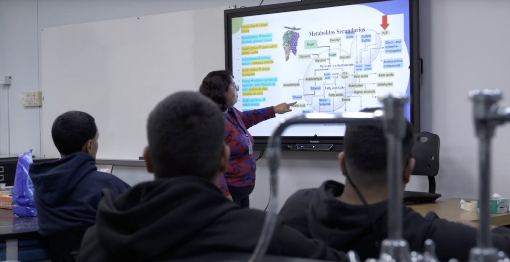 TecLab Puerto Rico graduates first cohort in southern Puerto Rico