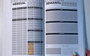 The Stress-Free Money financial planner, developed by Lysbell Araujo, is available for purchase through Amazon.